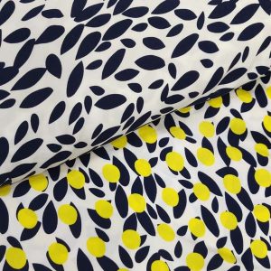 Border Print Rayon Fabric